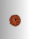 11 Mukhi Rudraksha – The Bead of Supreme Strength and Wisdom